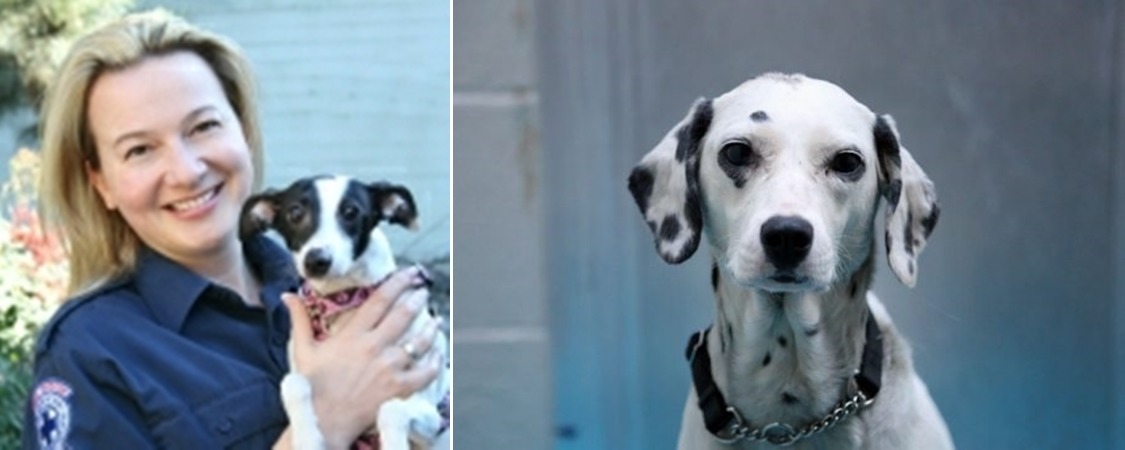 莫里亞蒂(左)和當天從農舍被救出的狗(右)。　取自BCSPCA