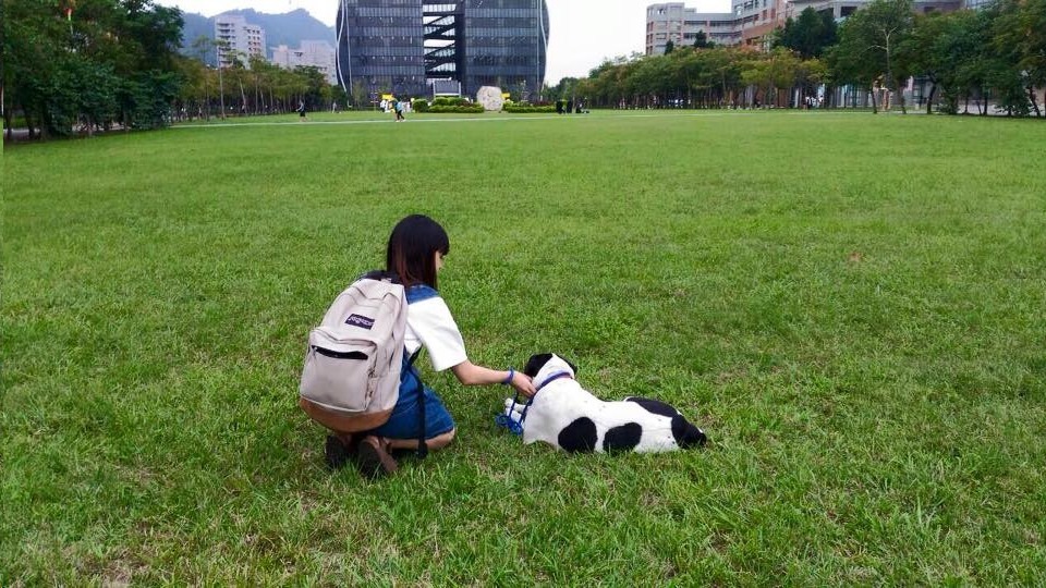 個性親人的校犬，常變成校園裡的明星。圖為國立臺北大學明星校犬牛牛。　取自國立臺北大學愛動物社