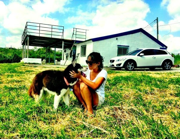 米堡兩歲生日時，Andy和Christine帶牠去墾丁慶生，圖為在埔頂大草原留下的照片。　Christine/提供