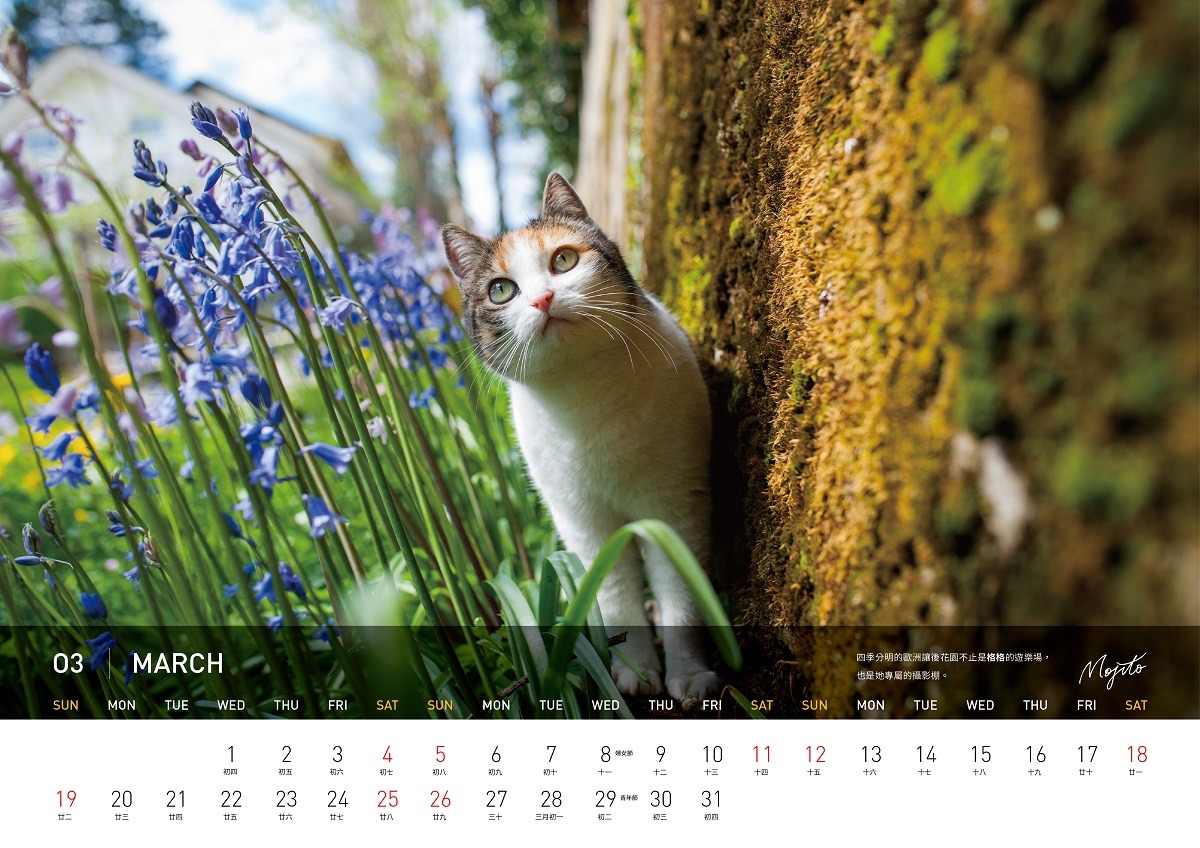 2017月曆系列產品預購期到10月18日，在18日前匯款，就有比較優惠的預購價。　Mojito/提供