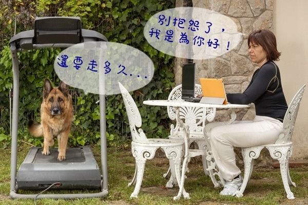 毛孩運動、飼主盯梢！　取自網路