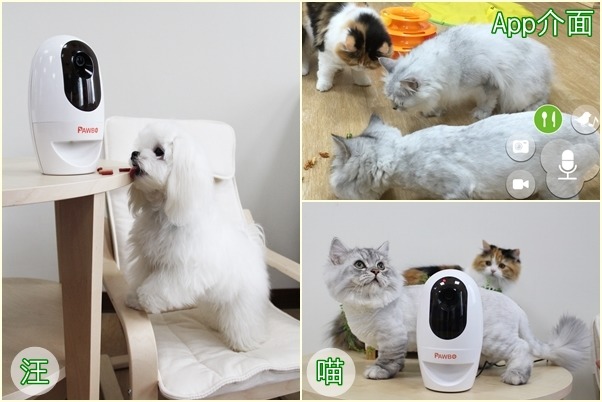 PAWBO具有攝影、拍照、餵食、聲音互動等功能,小貓小狗都適用。 PAWBO/提供‧江幸芸/攝(右下)