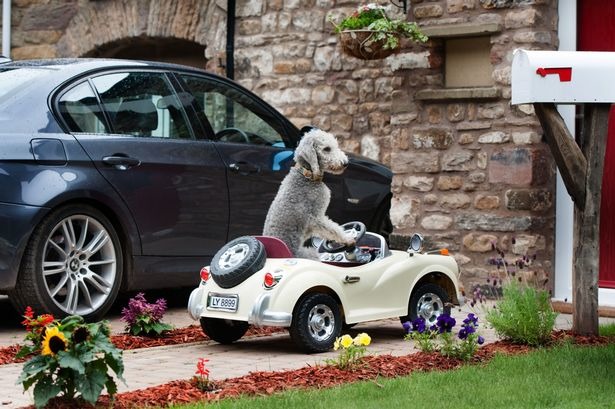 貝瑞的愛車就停在主人的車旁邊，實在讓人覺得太可愛了。　取自《Mirror》