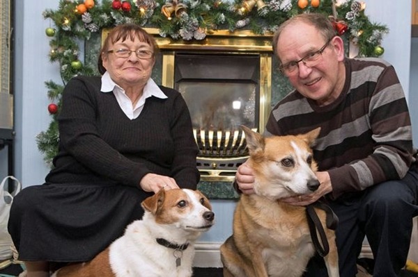 蘇菲(右)不只有了新爸媽,還有了新玩伴托比(左)。 取自英國《鏡報》