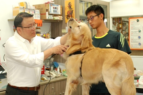 葉煥青全程參與檢查過程。 台灣動物緊急救援小組/提供