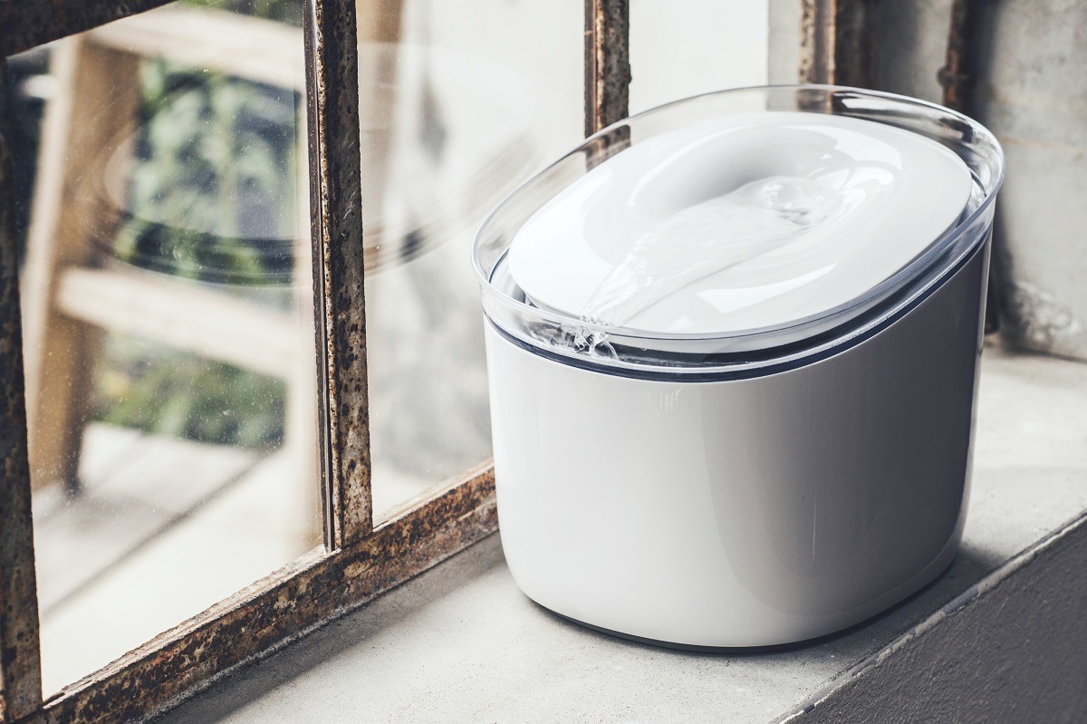 6個月大的貓咪就能使用Pura，10公斤以下的狗兒也行。　諾芽/提供