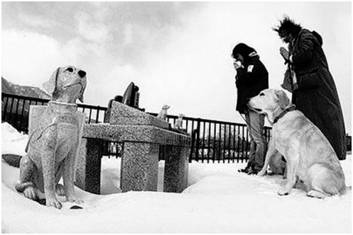 在日本，人和寵物合葬的墓園中，不少都立有愛犬的石像。取自網路