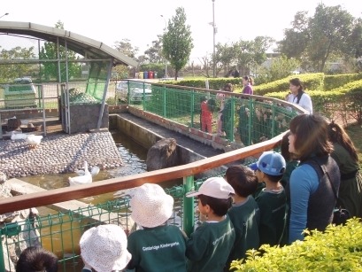 臺中市動物之家很樂意配合學校的戶外教學課程。　臺中市動物之家/提供