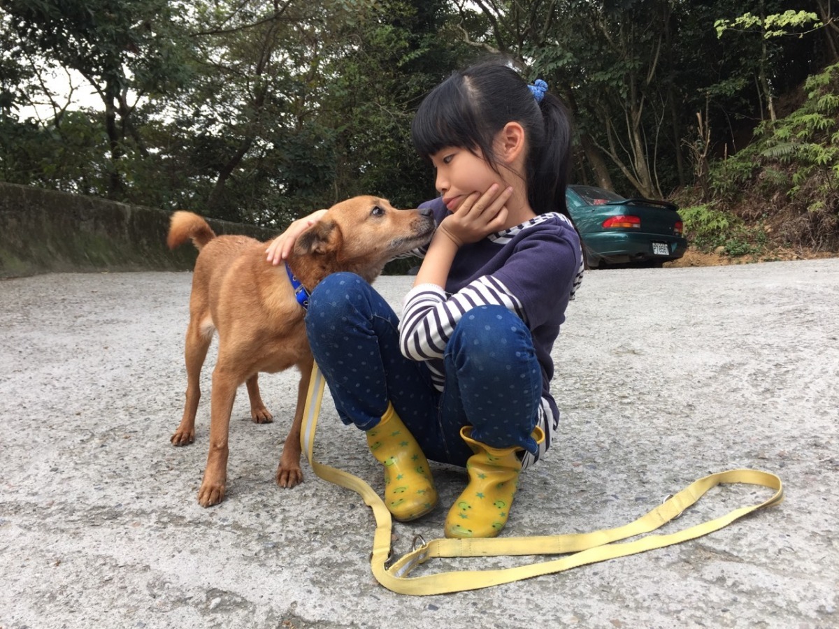 小鈴鐺一家三口都超愛動物，每個月都到五股收容所當志工。擔任模特兒的女兒瑄瑄雖然年紀小，但和狗狗的默契絕佳，總是能拍出溫馨可愛的照片。　小鈴鐺/提供