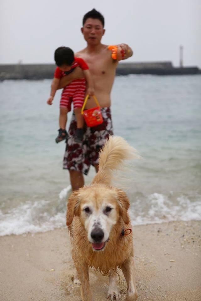 杉福漁港旁的沙灘也是洛基小聿媽喜歡的景點之一，適合曬太陽。　洛基小聿媽/提供