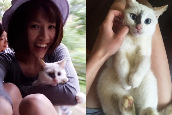 陳小姐(左)到慕谷慕魚玩時遇到慕慕,以為是棄貓,就直接撈回家了。 陳小姐/提供