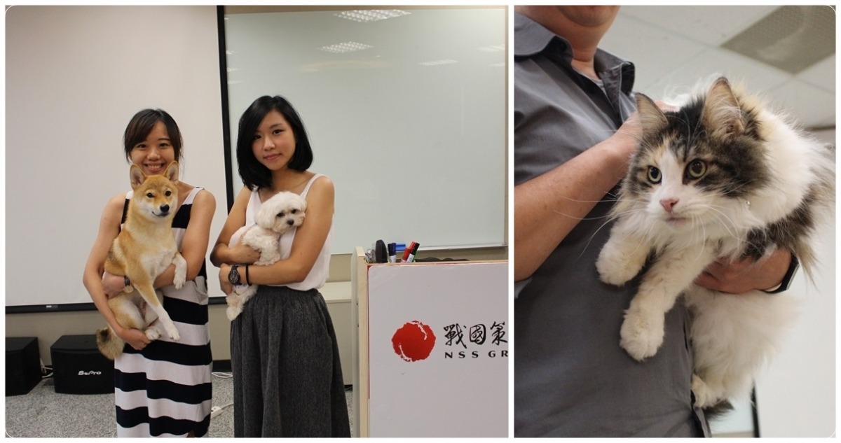 戰國策員工每週五都能帶寵物到公司上班（由左到右：王奕涵和「七辣」、陳玉衡和「妞妞」、Eric和「呣貓」）。　黃靖雅/攝