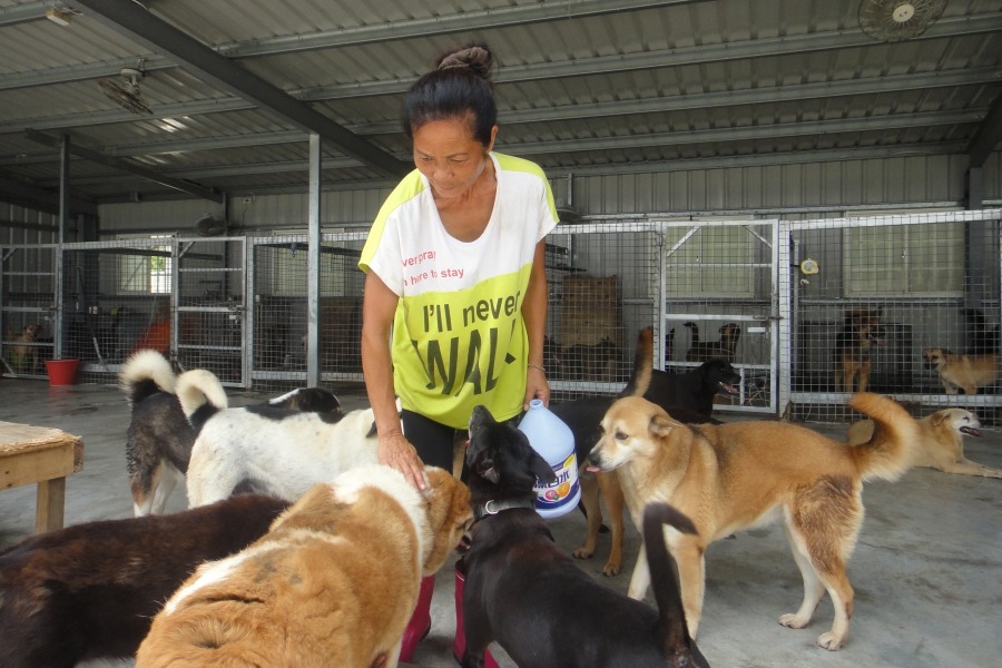 紀媽媽照顧浪犬20多年。  江幸芸/攝