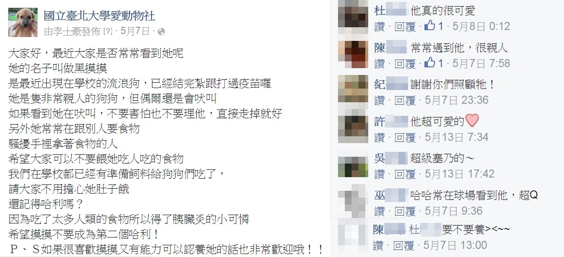 大家對黑摸摸的印象很好，還有人慫恿同學領養。　臺北大學愛動物社/提供