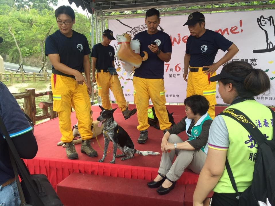 圖中受訓中的搜救犬平平，是教官到收容所挑的狗狗！　取自高雄市政府消防局搜救犬馴養中心