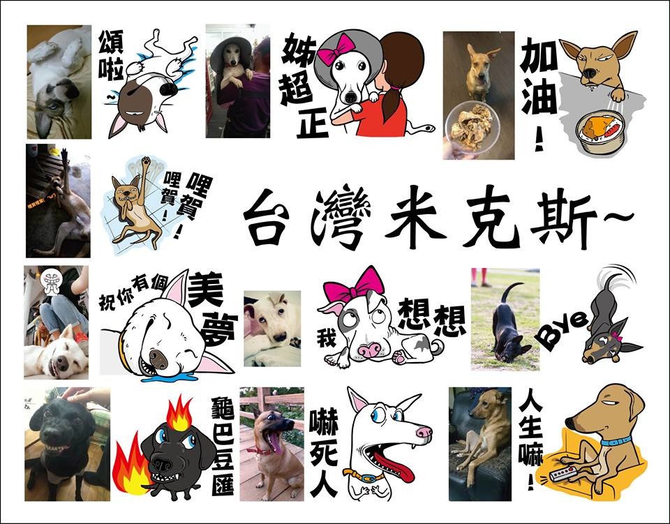 除了米克斯系列，還有貴賓、柯基&臘腸、法鬥等共十組哦！　0.5mm/提供