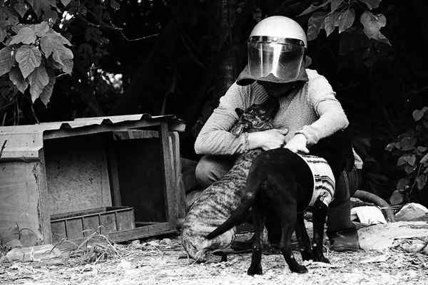 愛媽過年時的工作比平時還忙，工業區的工廠都休息了，附近的浪犬只能靠愛媽照顧。　傅翊豪/拍攝‧動平會/提供