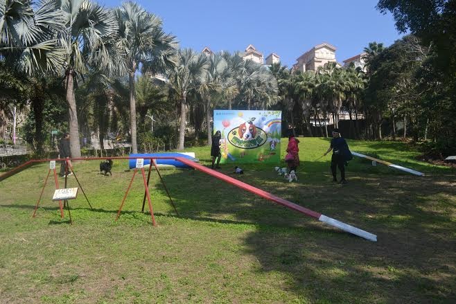 東森山林渡假酒店設有戶外運動區和室內遊戲區，快帶狗狗來玩！　東森山林渡假酒店/提供