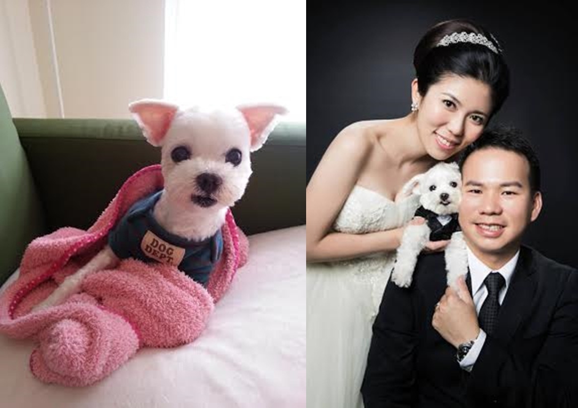 李小姮和老公把愛犬BiBi當成小孩疼愛，連拍婚紗照也不忘讓BiBi入鏡。　李小姮/提供