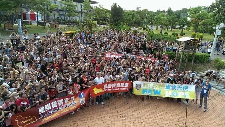 臘腸寶寶家族向心力極高，社團內也不斷宣導「以領養代替購買」、「以結紮代替撲殺」。　臘腸寶寶家族/提供