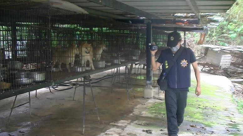 抄場當日，繁殖場環境並不髒亂，動保員將持續要求業者保持環境整潔。　臺北市動保處/提供