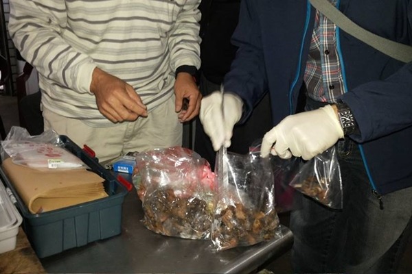 「高雄市動物保護自治條例」草案規定,吃狗肉、貓肉的人也要罰。 徐婕/提供