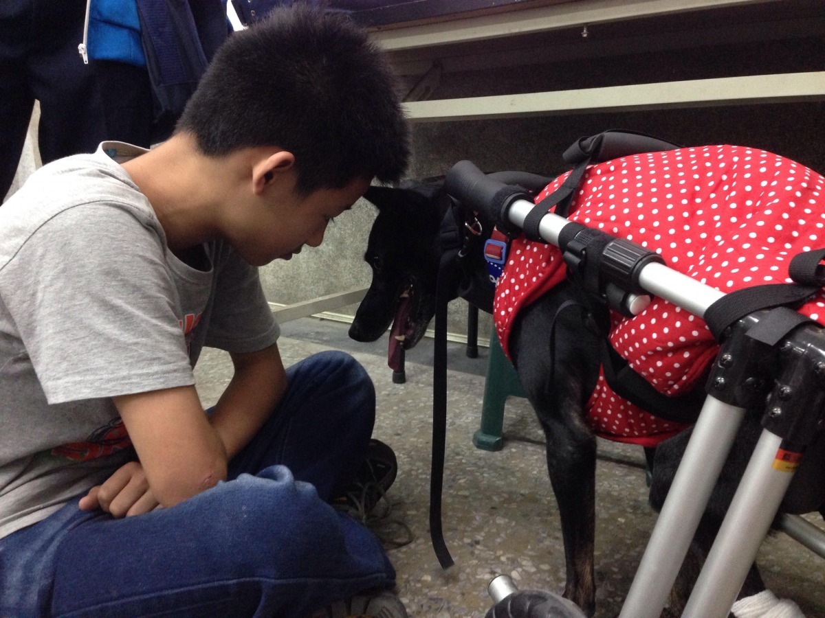 黑黑本來並不親人,但當天的表現很不錯。 方卡楽/提供