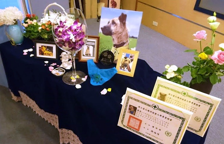 桌上放了畢業證書、榮譽校友證、優漢生前用的領巾、照片，和印著優漢名字、狗腳印的牌子。　葉明理/提供