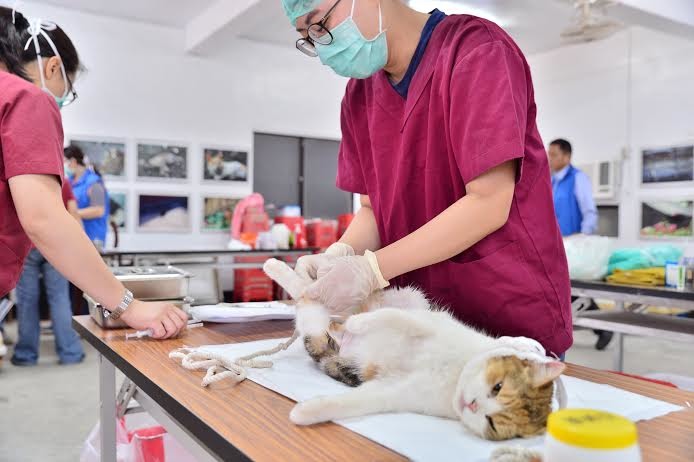 該打針就來吧,我不怕痛! 新北市保局/提供