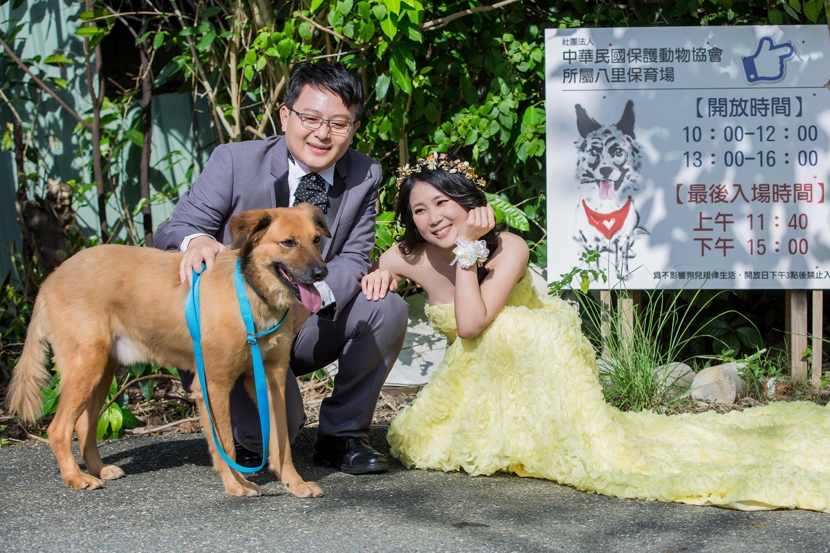 八里保育場稱得上是兩人的定情地，婚紗照當然要到這邊拍囉！　陳慕勤/提供