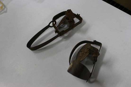 國內已立法禁止使用捕獸鋏，但貓狗被捕獸鋏所傷事件仍層出不窮。　陳珊珊/攝