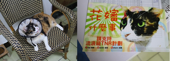 擁有不少粉絲的「花嬸」是協會文宣品上的主角。　陳珊珊/攝