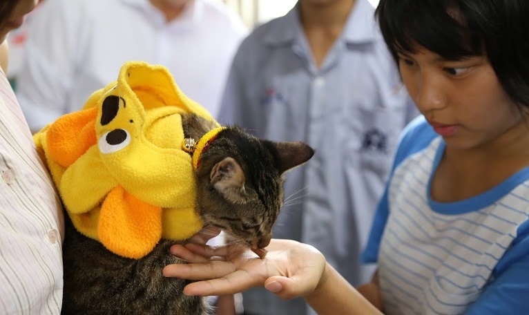 有幾位同學在活動結束後，還不斷向老師追問，拉拉和咪咪什麼時候還會再來呢！　新北市動保處/提供