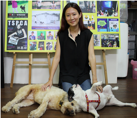 台灣防止虐待動物協會執行長姜怡如是查緝虐待動物案件的第一代調查專員。　陳珊珊/攝