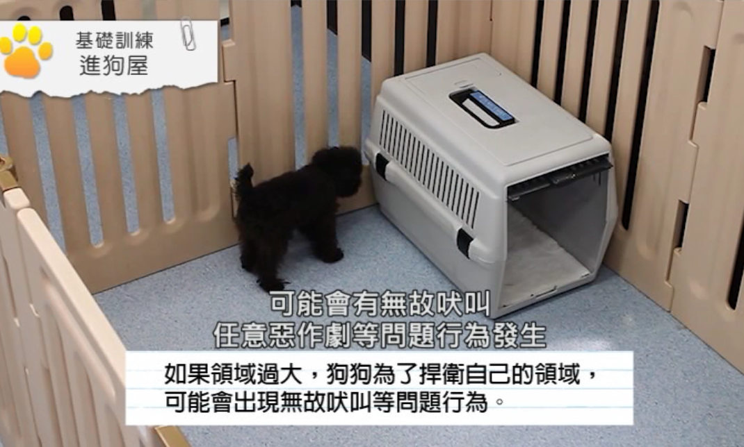 遠藤和博認為，不應讓狗狗認為全家都是牠的領地。　截自狗狗行為矯正書教學影片