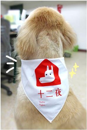 由協會model狗狗拍攝的背殺照！  何宜/攝