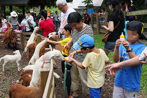 許多生態農場讓遊客幫小羊餵奶，但不定時餵食會影響動物健康。　Flickr_ xalekd