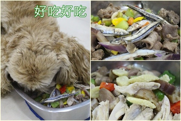 寵夢家寄宿的狗兒都吃柔寶媽自製的鮮食,菜色多變,肉的比例達50%。 江幸芸/攝