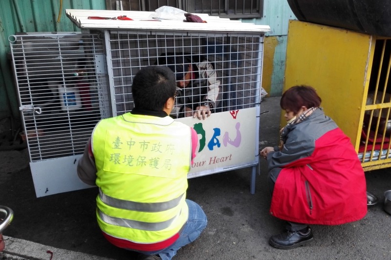 小白的家由隊員們親手打造。 台中市南屯區清潔隊/提供