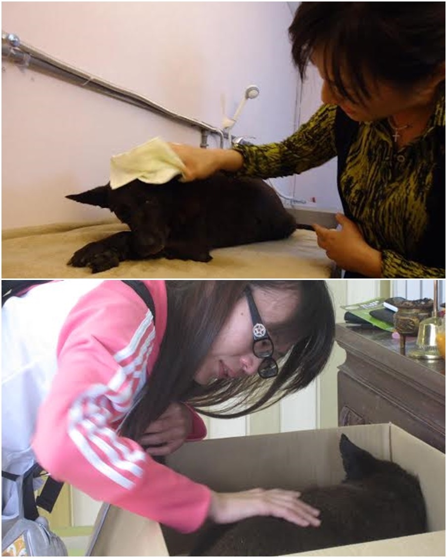 葉明理幫過世的小黑擦身，校犬隊的成員也依依不捨送小黑最後一程。　葉明理/提供