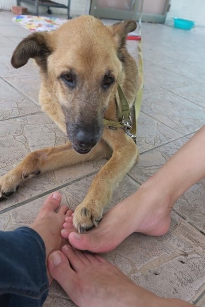 畢業12年的校友回來找優漢聊天,還把大家的腳放在一起合照。 葉明理/提供