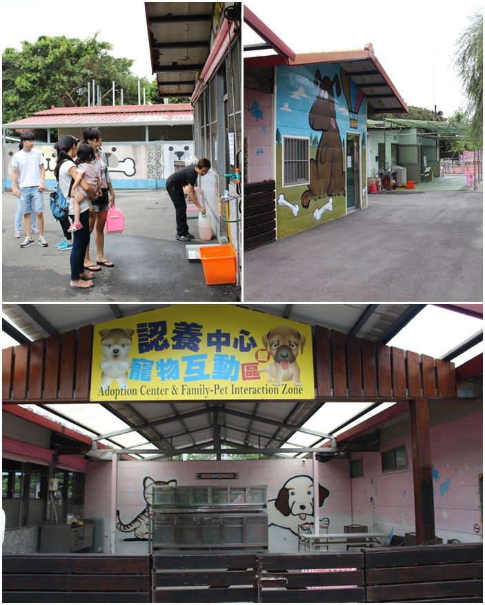 板橋認養中心環境整潔乾淨，不時有民眾前往挑選想領養的狗狗。　黃靖雅/攝
