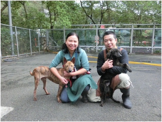愛狗夫妻楊精傑與王文琪，是志工拍檔。台北市動物之家/提供