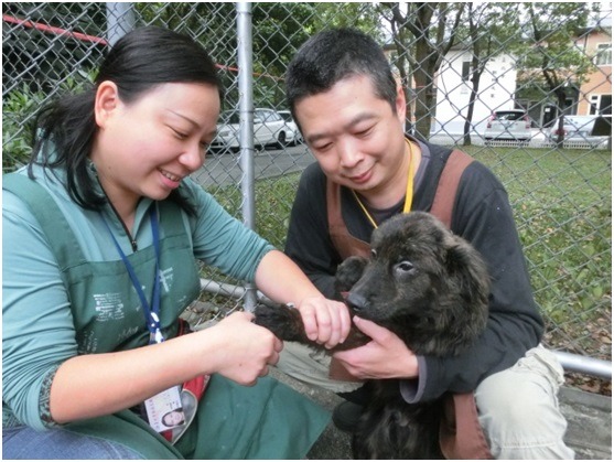 夫妻檔合作照顧收容犬/台北市動物之家  提供