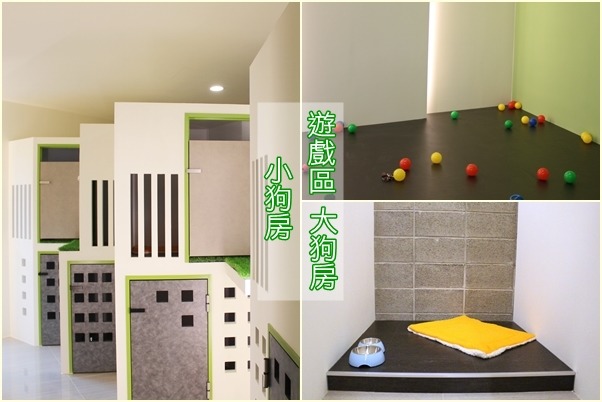 樂逗森林的狗狗住宿區預計於7月開放。 江幸芸/攝