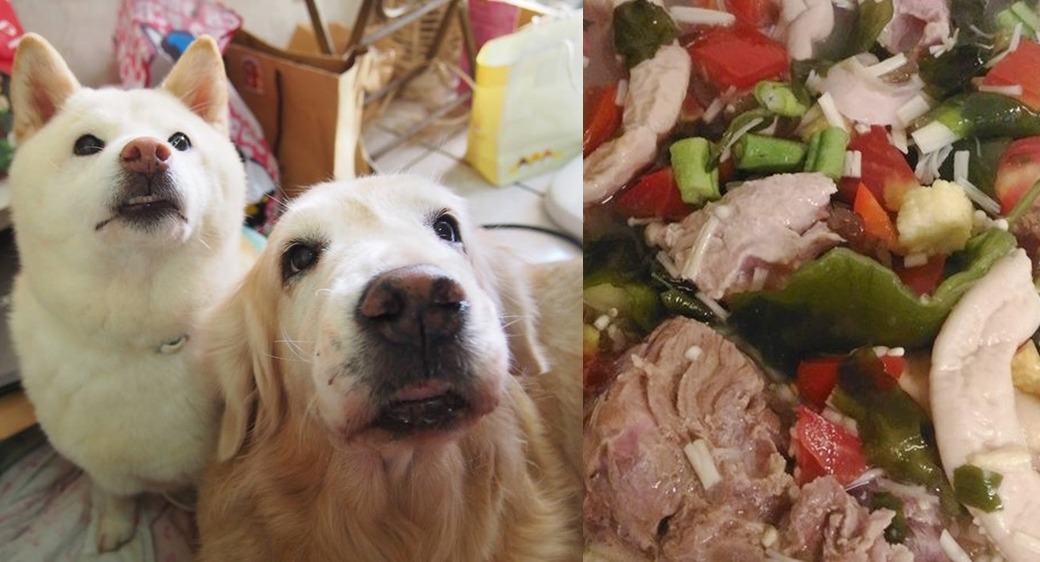 「你們在流口水嗎？」　示意圖，取自我們這一家、兜窩生活工房