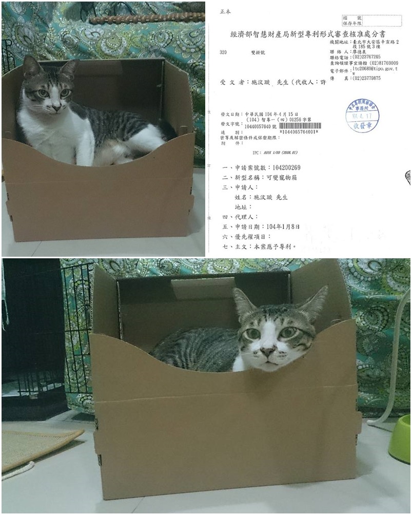 黑輪很愛這個貓砂盆，還曾躺在裡面睡著。　施汶璇/提供
