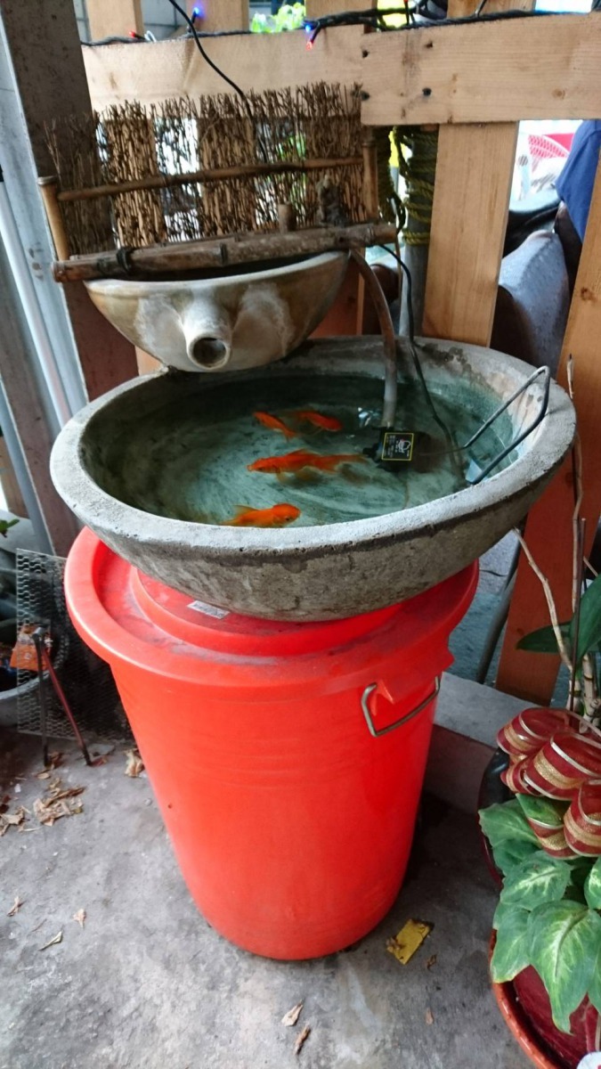 者將水缸墊高以防黑狗再度光臨。張詔竣/提供