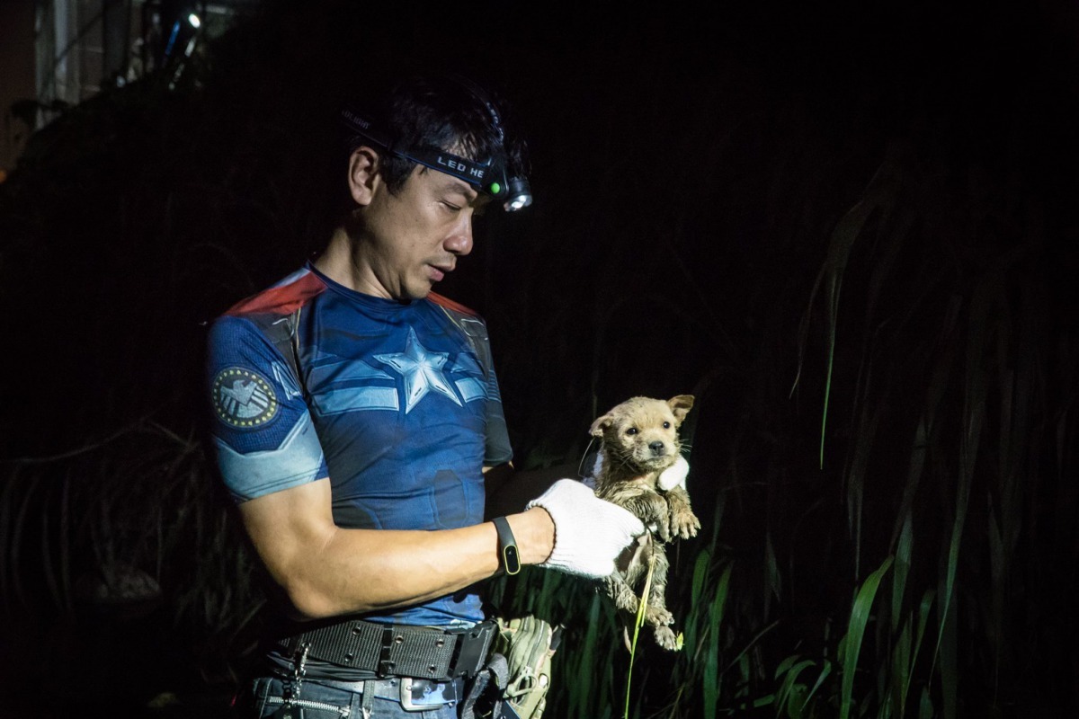 動保員救起的小黃狗。新北市政府農業局提供