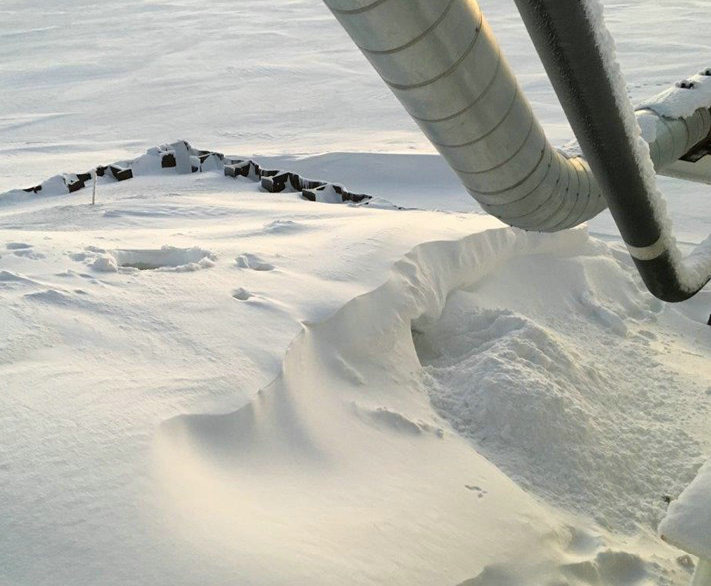 阿拉斯加的石油蘊藏豐富，2017年3月又發現新油田，縱橫雪地的油管成為一景，也讓失去棲地的北極熊幾乎無處可容身。這隻母熊就選在煉油設施附近的雪地掘洞待產。　取自polarbearsinternational.org